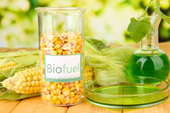 Downholme biofuel availability